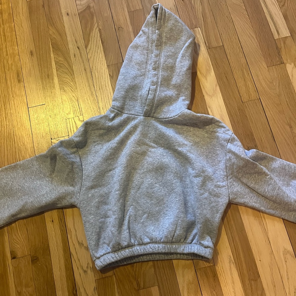 Zara gray cropped hoodie